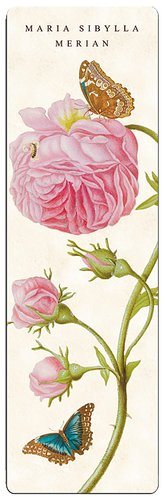 Bokmärke i papp, Ros ljusrosa, Maria Sibylla Merian