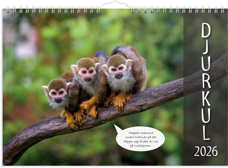 Väggkalender 2026 Djurkul