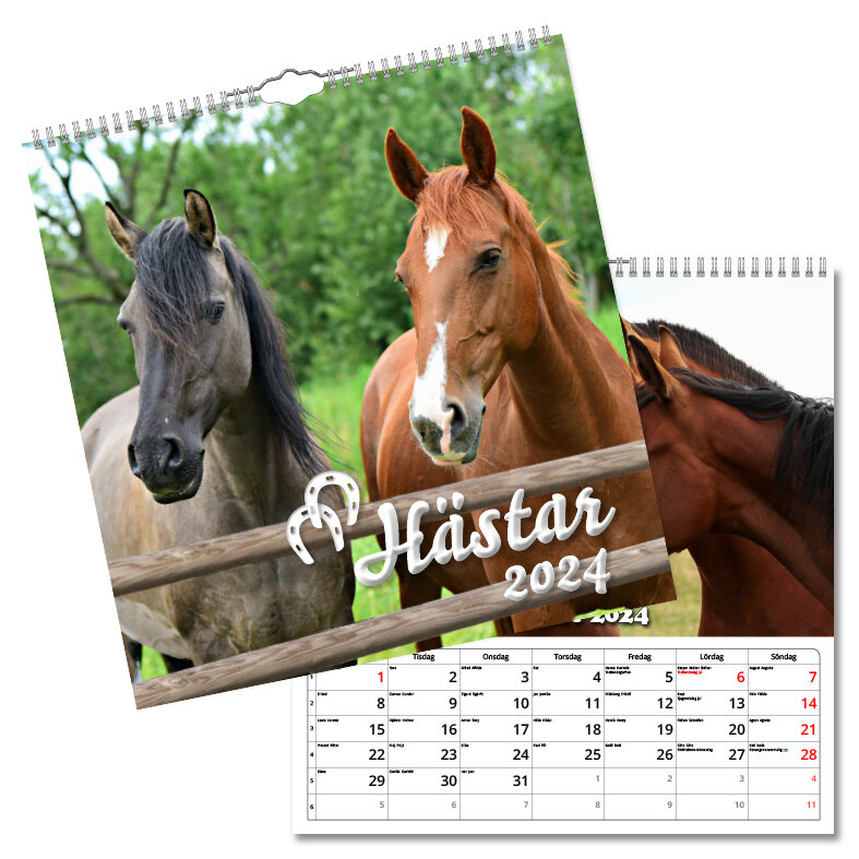 Väggkalender Hästar Large 2024 315x330mm