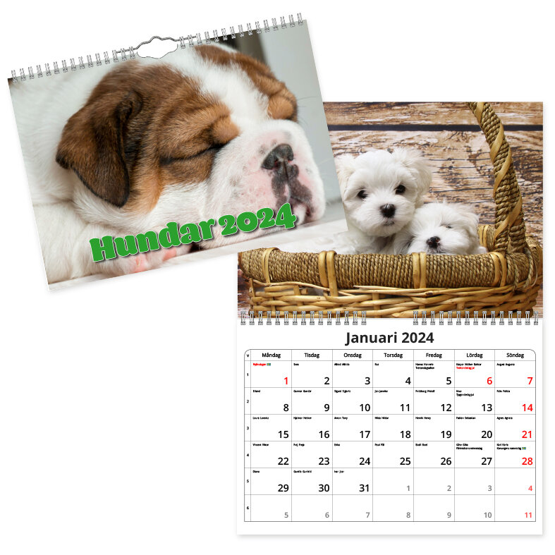 Väggkalender Hundar Small 2024 240x170