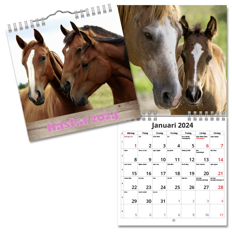 Väggkalender Hästar Mini 2024 160x160mm