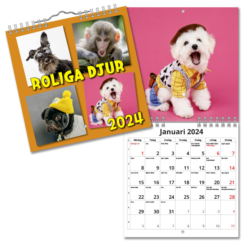 Väggkalender Roliga Djur Mini 2024 160x160mm