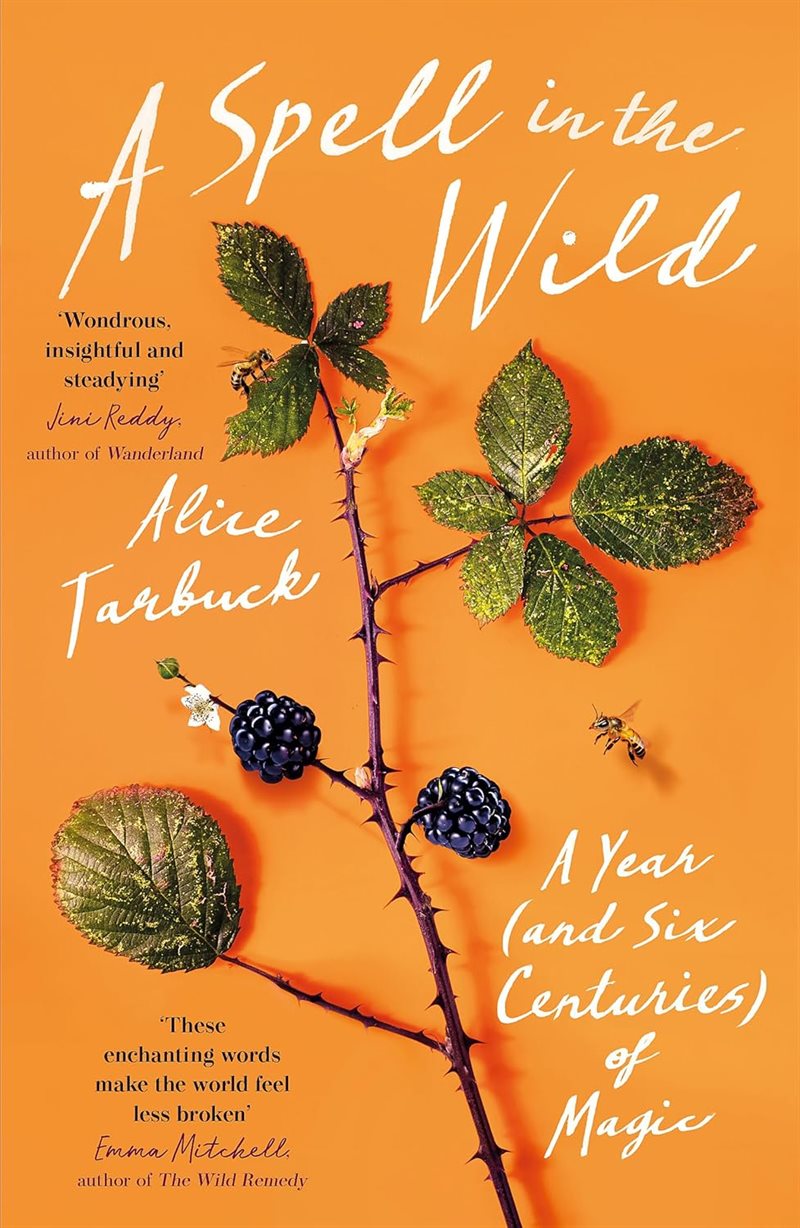 A Spell in the Wild: A Year (and six centuries) of Magic