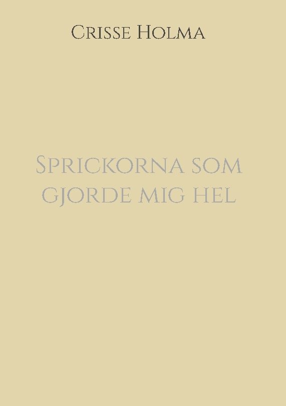 Sprickorna som gjorde mig hel