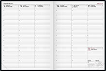 Journal Brun FSC