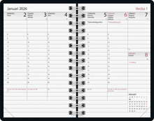 Executive Monstera FSC