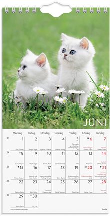 Väggkalender 2026 Liten Kattkalender