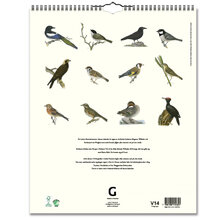 Väggkalender Fåglar 2024 328x405mm