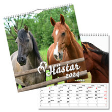 Väggkalender Hästar Large 2024 315x330mm