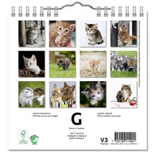 Väggkalender Katter Mini 2024 160x160mm